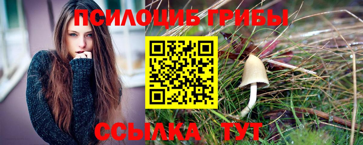 продажа наркотиков  Вход с VPN  Азнакаево  Псилоцибиновые грибы Psilocybe 